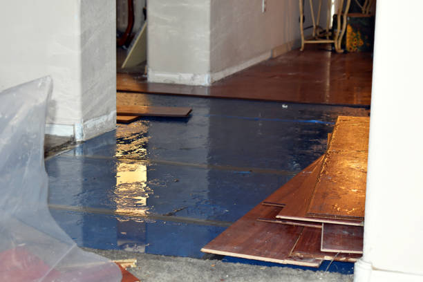 Professional Flood Damage Restoration technician working in Collins, MS